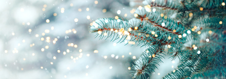 geschmückter Tannenast im Schnee