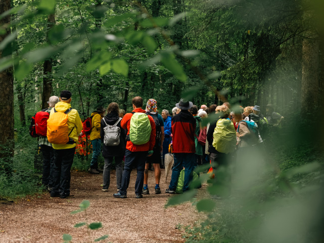 Im Siebentischwald: Eine Gruppe beim Samstagspilgern 